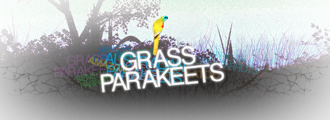 Grass Parakeets