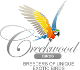 CreeKwood Birds