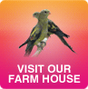 Visit Our Farm House